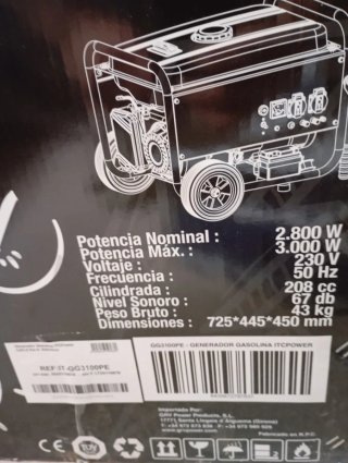 Generador Eléctrico GG3100PE Gasolina
