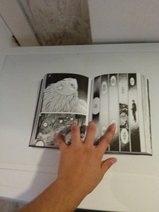 Manga japones
