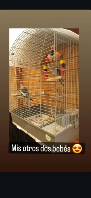 Jaula para pájaros
