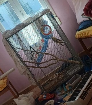 Jaula para pájaros