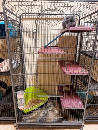 3 Grandi Gabbie per Animali Domestici