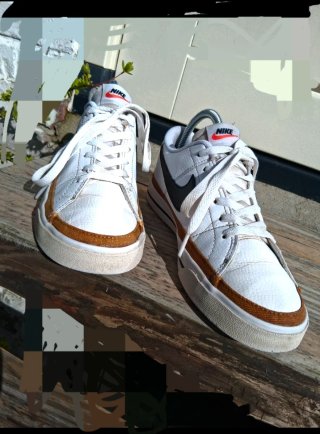 Zapatillas Nike Blancas y Marrones