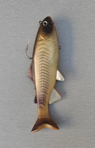 pesca