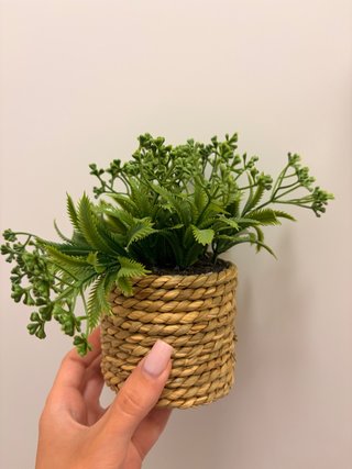 Maceta verde