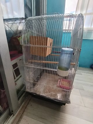 Jaula para pájaros con nido