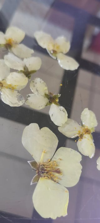 Pendientes #Flor de #Celinda