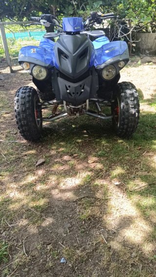 Quad Adly 300cc Azul Todoterreno