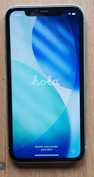 iPhone 11 Verde/Morado + Accesorios