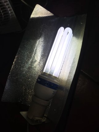 Reflector para bombilla bajo consumo