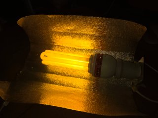 Reflector para bombilla bajo consumo