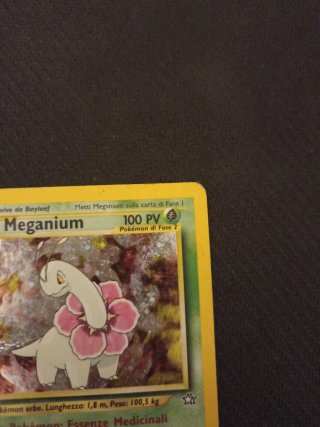 Meganium Neo Genesis 10/111 Carta Pokémon