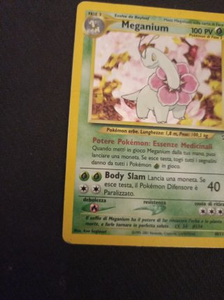 Meganium Neo Genesis 10/111 Carta Pokémon