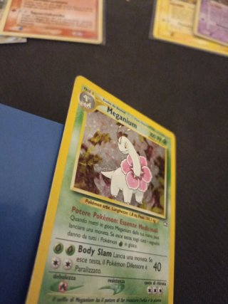 Meganium Neo Genesis 10/111 Carta Pokémon