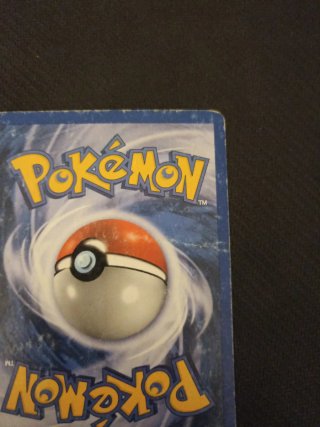 Meganium Neo Genesis 10/111 Carta Pokémon