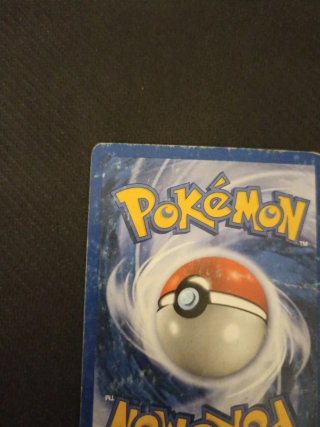Meganium Neo Genesis 10/111 Carta Pokémon