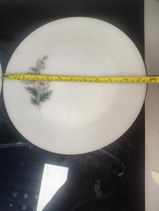 Dos platos Arcopal Grande Flores