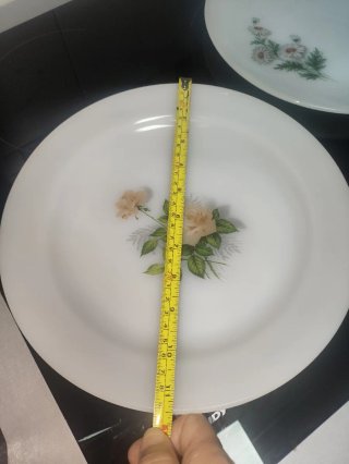 Dos platos Arcopal Grande Flores