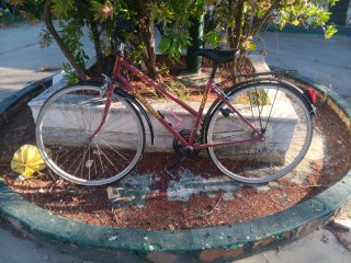 Bicicleta Peugeot