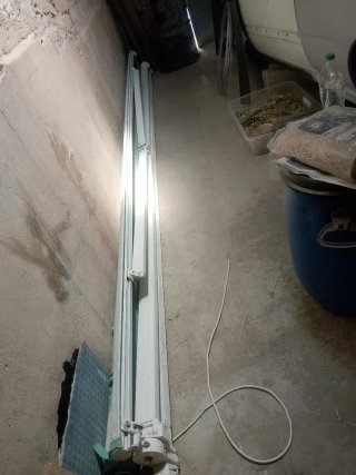 Toldo eléctrico verde y blanco
