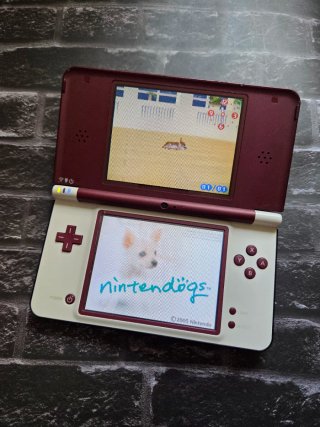 Nintendo DSi XL Roja + accesorios
