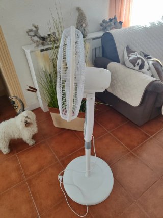 Ventilador de pie blanco y gris