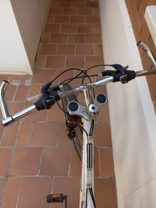 Bicicleta Descenso Motorswatts