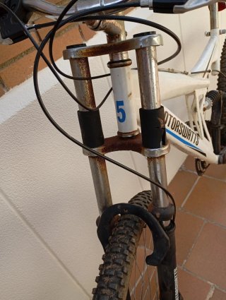 Bicicleta Descenso Motorswatts