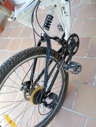 Bicicleta Descenso Motorswatts