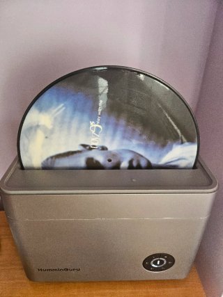 Noyze - Stay With Me (Picture Disc)