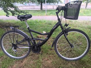Bicicleta Paseo 26 pulgadas