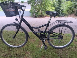Bicicleta Paseo 26 pulgadas