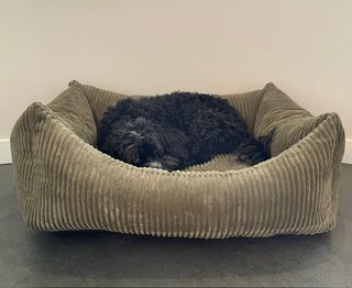 Cama para perro lavable pana suave