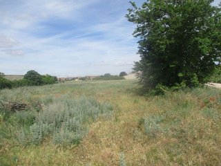 Terreno en venta en Zona Rural en Aranda de Duero
