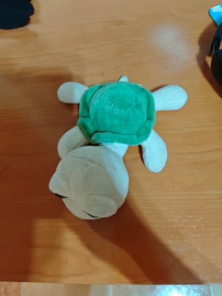 Peluche Tortuga Verde y Blanco