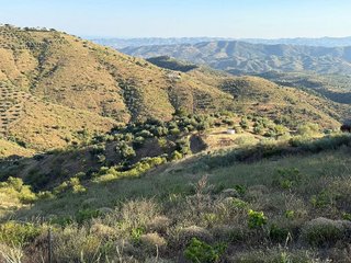 Terreno en venta en Canillas de Aceituno