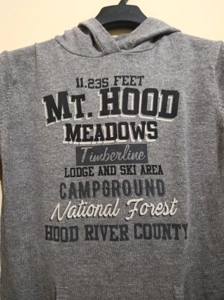 Sudadera Mt. Hood Meadows Gris
