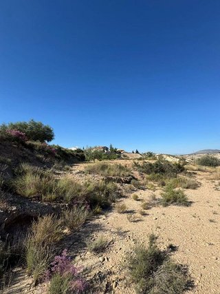 Terreno en venta en Santomera