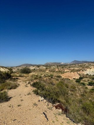 Terreno en venta en Santomera