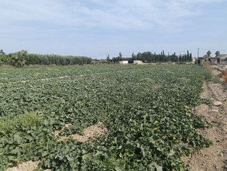 Terreno en venta en Cuevas del Almanzora pueblo en Cuevas del Almanzora