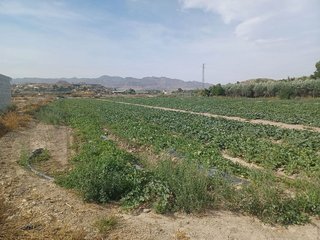 Terreno en venta en Cuevas del Almanzora pueblo en Cuevas del Almanzora