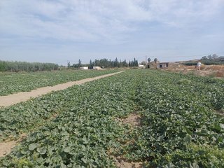 Terreno en venta en Cuevas del Almanzora pueblo en Cuevas del Almanzora