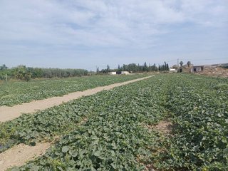 Terreno en venta en Cuevas del Almanzora pueblo en Cuevas del Almanzora