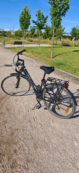 Bicicleta Paseo 24 Velocidades