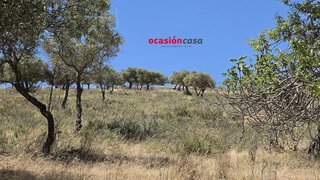 Solar en venta en Peñarroya-Pueblonuevo