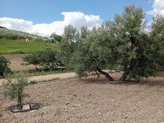 Terreno en venta en Villanueva del Trabuco