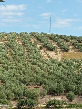 Terreno en venta en Villanueva del Trabuco