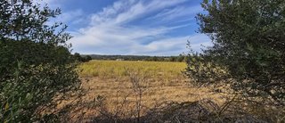 Solar en venta en Campos