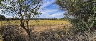 Solar en venta en Campos