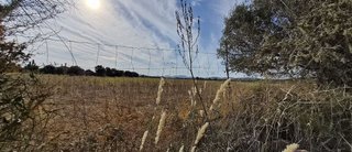 Solar en venta en Campos