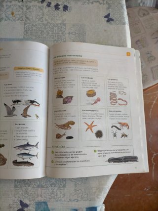 Ciencias de la naturaleza, 5 Primaria Proyecto ...